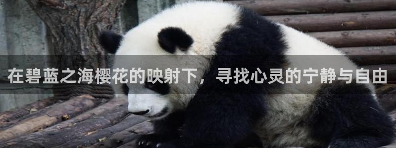 微影时光老湿影院