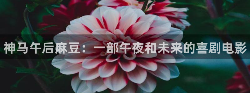 免费电影星空