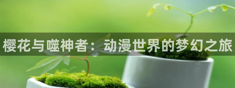 星空影视免费观看