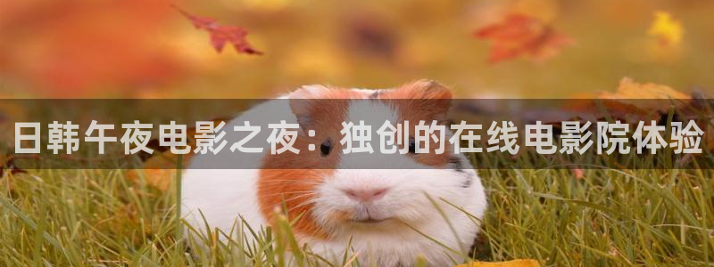 星空影视高清mv免费观看