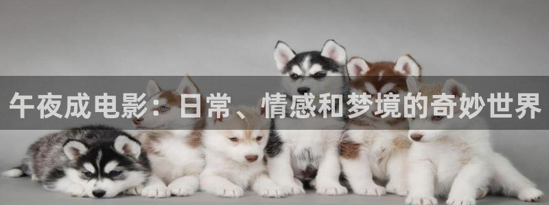 老湿影院2
