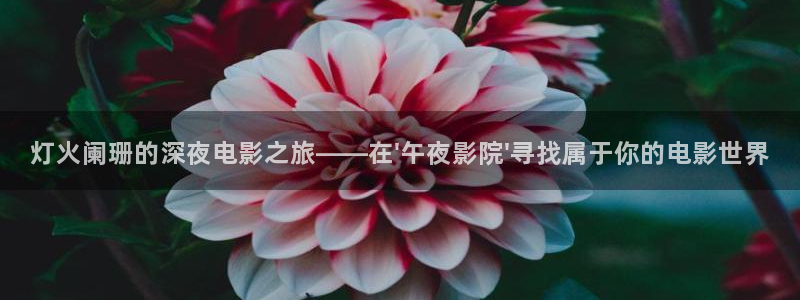 电视剧那片星空那片海2