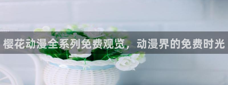 星空影视2025免费观看