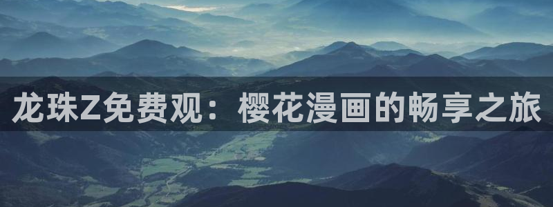 老湿影院下载安装