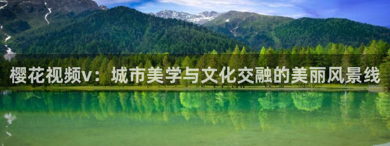 老湿影院电视剧在线观看