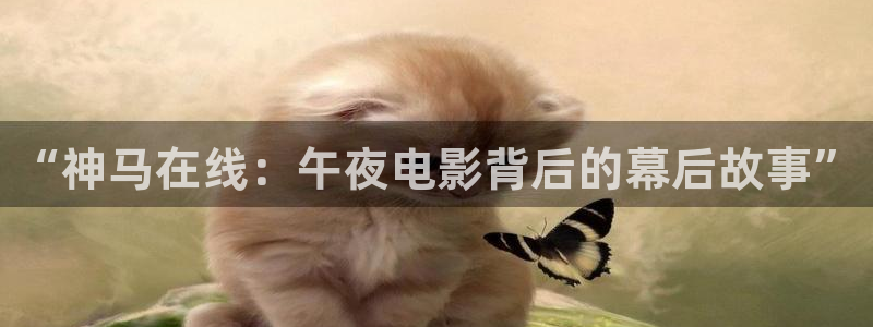 星空影视官网