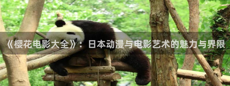 老湿影院免费电影