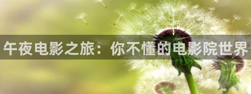 星空影视app免费版下载