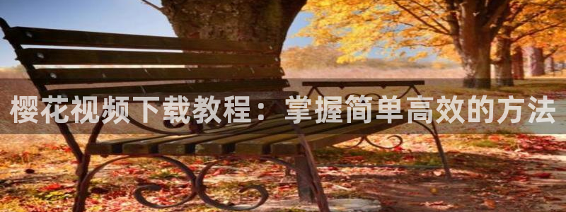 星空影视软件