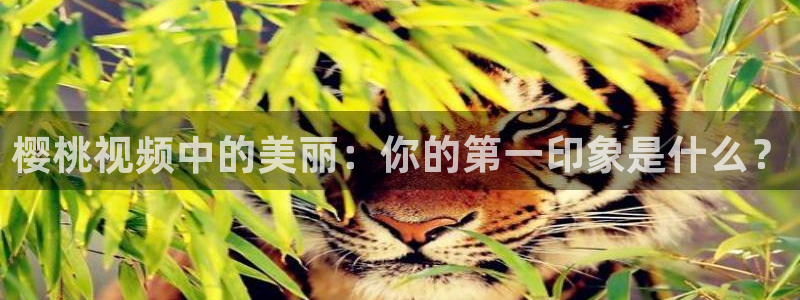 一念永恒老湿影院