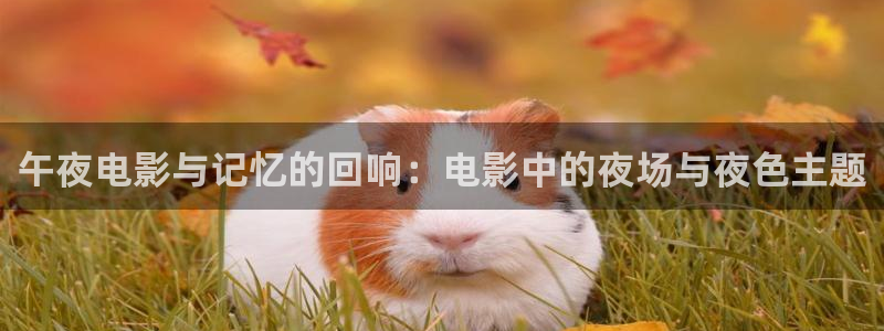 星空影视