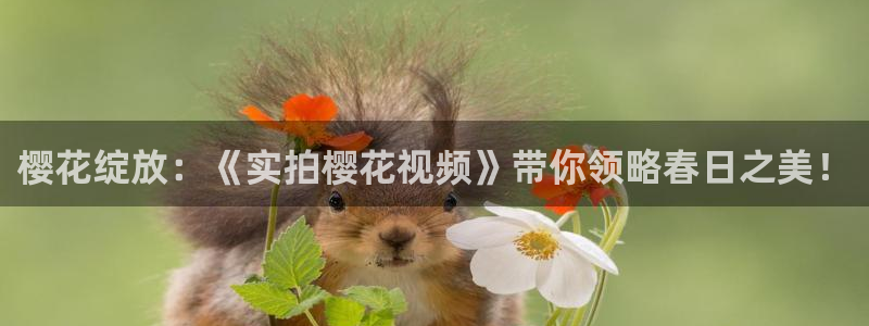 星空影视免费电影